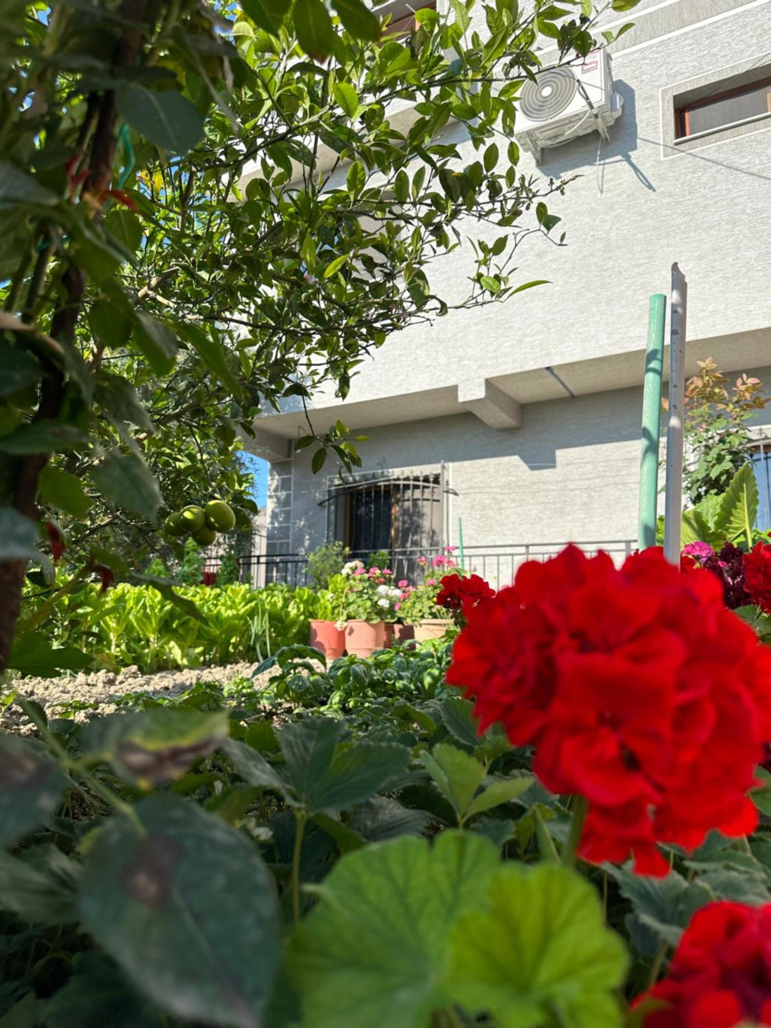 Gafko Apartament *
