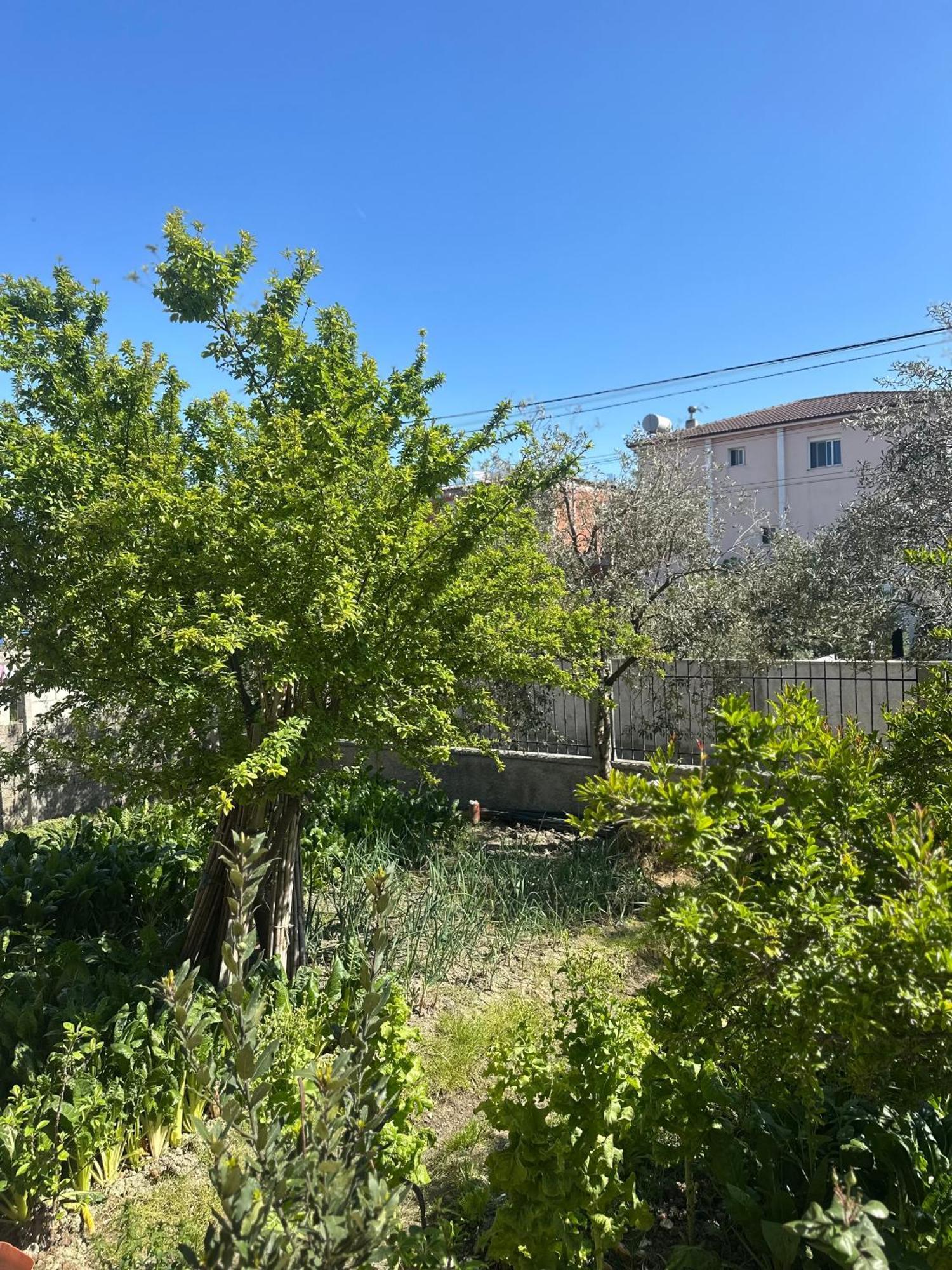 Gafko Apartament